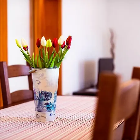 Marina Apartment Klek